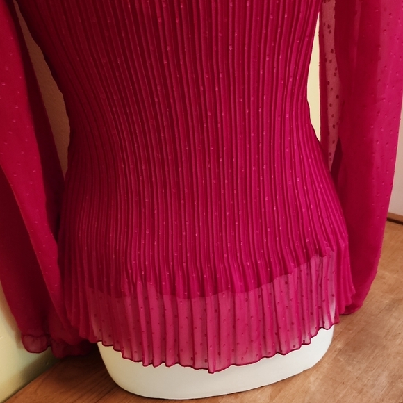 Pretty Career Chiffon Blouse and Cami Set in Cranberry Red - Picture 8 of 10